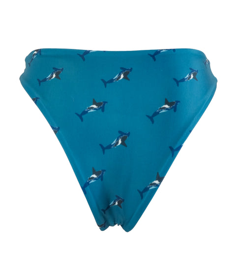 Orca Classic Bikini Bottoms