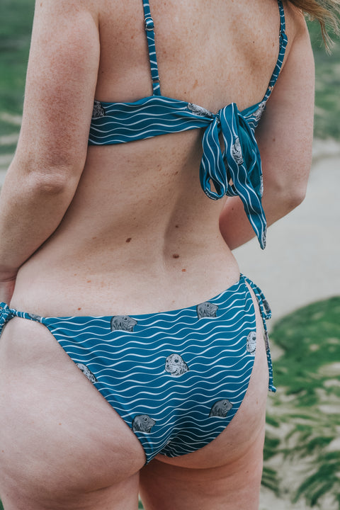 Seal Cove Triangle Bikini Bottoms