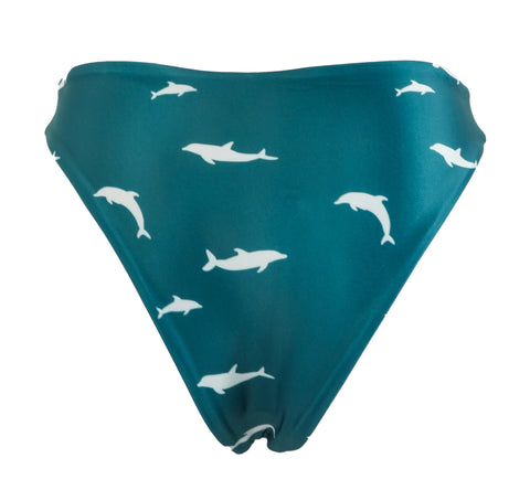 Echo Classic Bikini Bottoms
