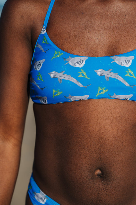 Basking Shark Bikini Top