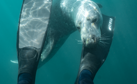 LUNDY ISLAND GIRLS DAY - JUNE 8th